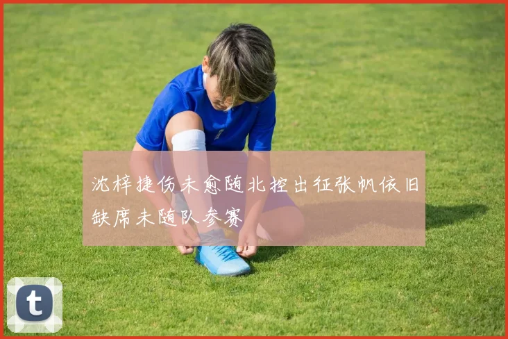 沈梓捷伤未愈随北控出征张帆依旧缺席未随队参赛