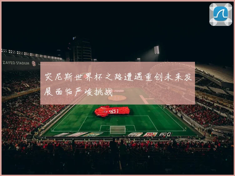 突尼斯世界杯之路遭遇重创未来发展面临严峻挑战