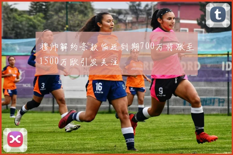 穆帅解约条款临近到期700万将涨至1500万欧引发关注